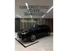 2021 Lexus RX 300 2.0 Luxury SUV
