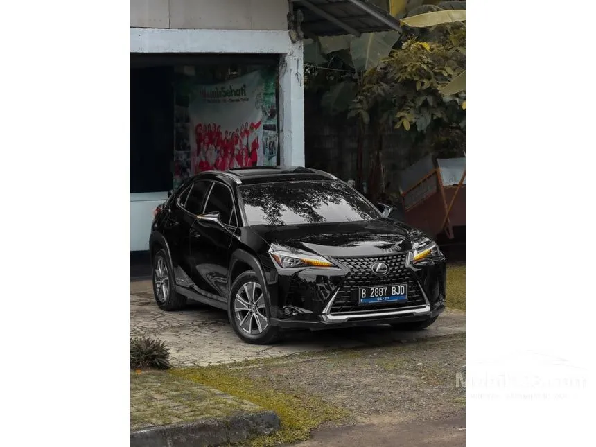 2022 Lexus UX 300e SUV