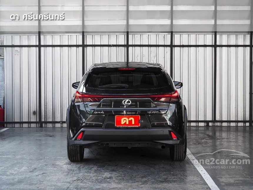 2023 Lexus UX250h Grand Luxury Hatchback