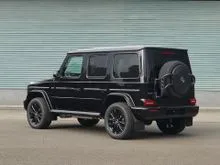 2025 Mercedes-Benz G500 3.0 Professional Line SUV