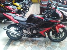 2014 Kawasaki Ninja 150 Others