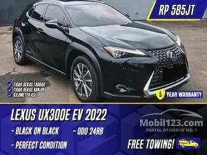 2022 Lexus UX 300e SUV