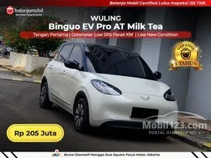 2025 Wuling Binguo EV Pro Hatchback