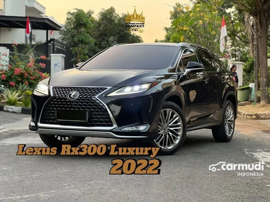 2022 Lexus RX300 Luxury SUV