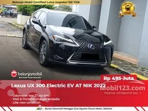 2022 Lexus UX 300e SUV