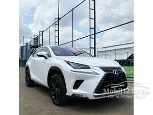 2018 Lexus NX 300 2.0 Luxury SUV