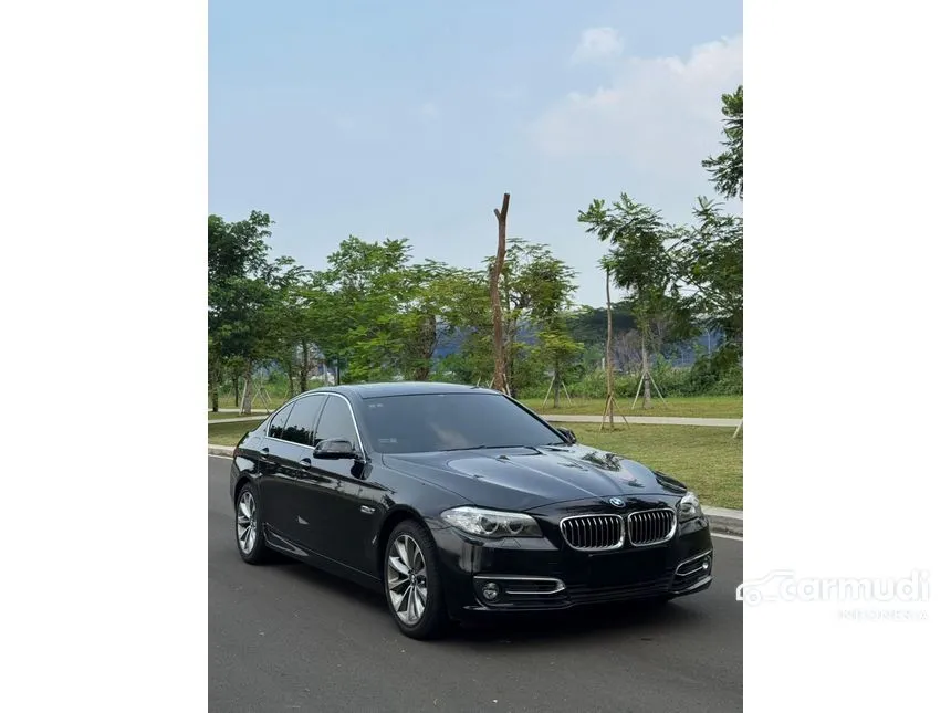 2015 BMW 520i Luxury Sedan