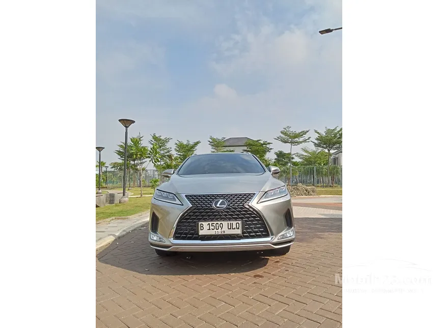 2020 Lexus RX 300 Luxury SUV