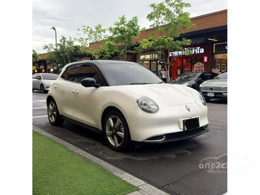 2025 ORA Good Cat Pro Hatchback
