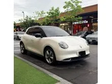 2025 ORA Good Cat 0.0 (ปี 21-27) Pro Hatchback