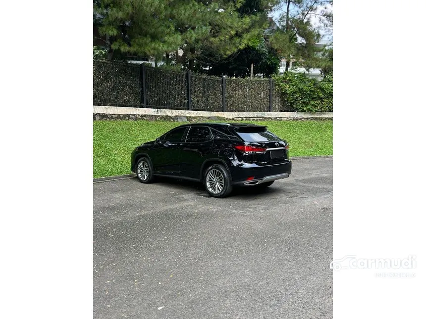 2019 Lexus RX 300 Luxury SUV