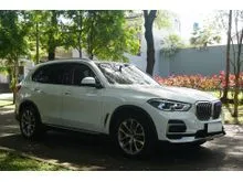 2022 BMW X5 3.0 xDrive40i xLine SUV