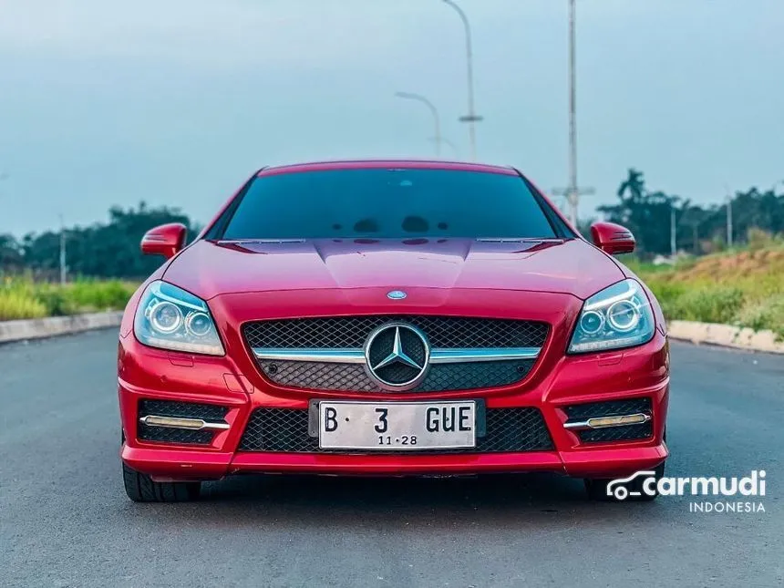 2011 Mercedes-Benz SLK250 AMG Convertible