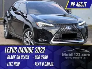 2022 Lexus UX 300e SUV