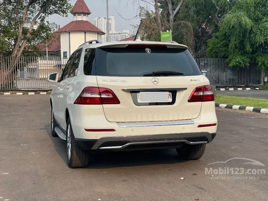 2013 Mercedes-Benz ML250 CDI SUV