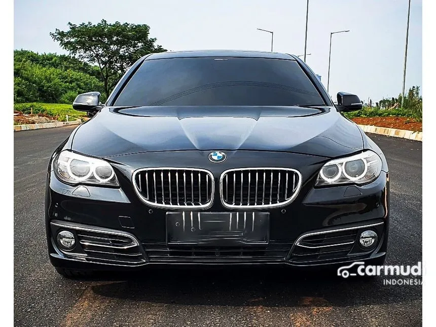 2015 BMW 520i Luxury Sedan