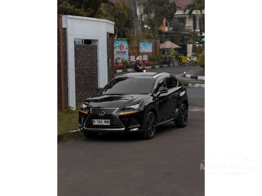 2018 Lexus NX 300 Luxury SUV