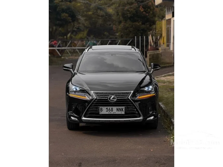 2018 Lexus NX 300 Luxury SUV