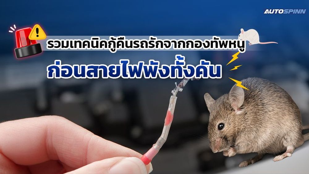 รวมเทคนิคกู้คืนรถรักจากกองทัพหนู ก่อนสายไฟพังทั้งคัน