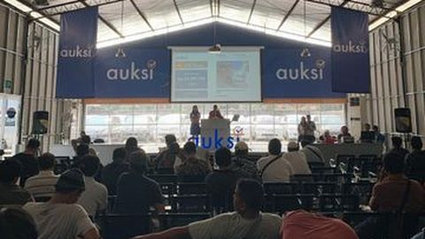 10 Model Paling Diincar Peserta Lelang Mobil Bekas