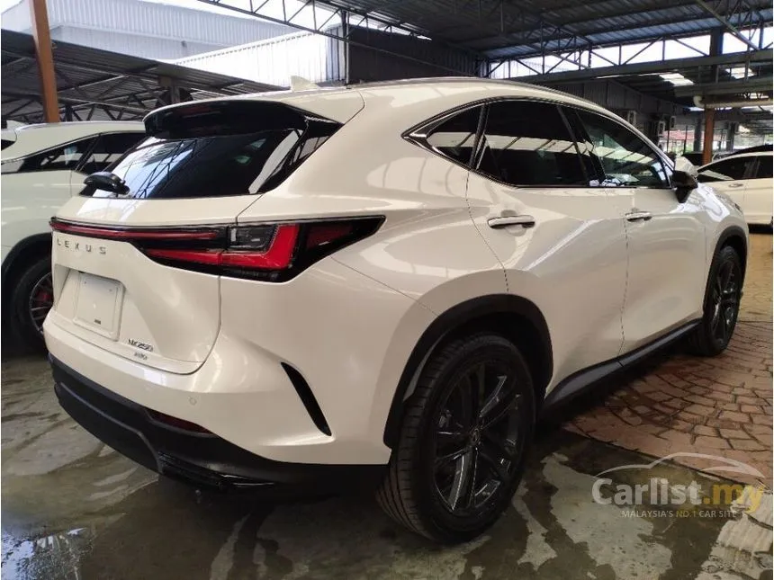 2023 Lexus NX250 Luxury SUV