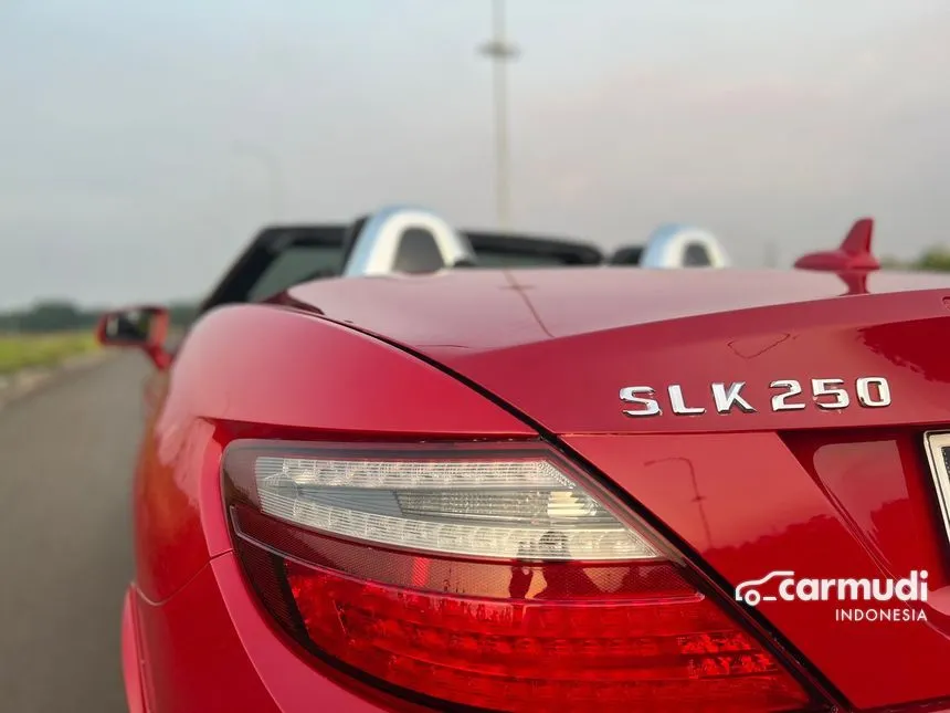 2011 Mercedes-Benz SLK250 AMG Convertible