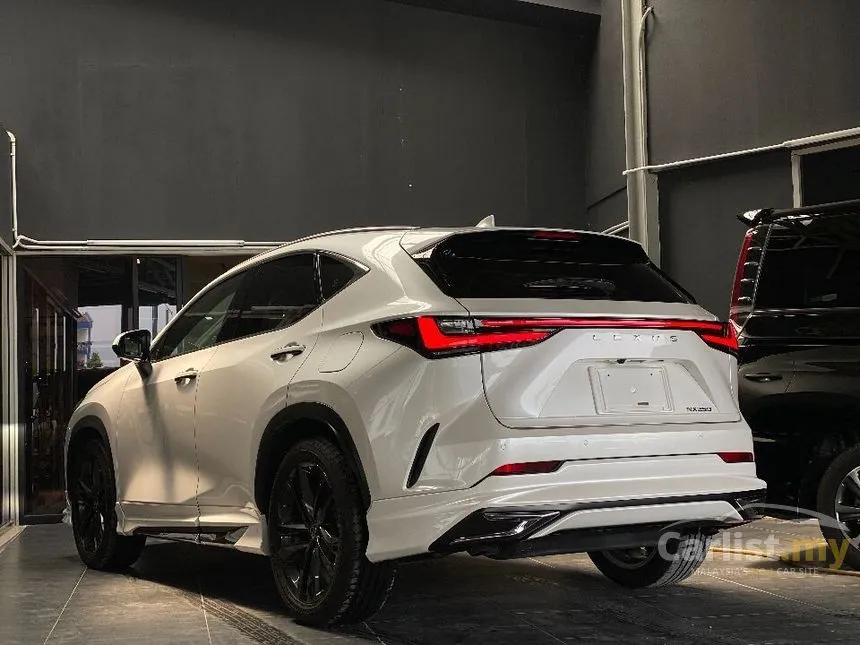 2023 Lexus NX250 Luxury SUV