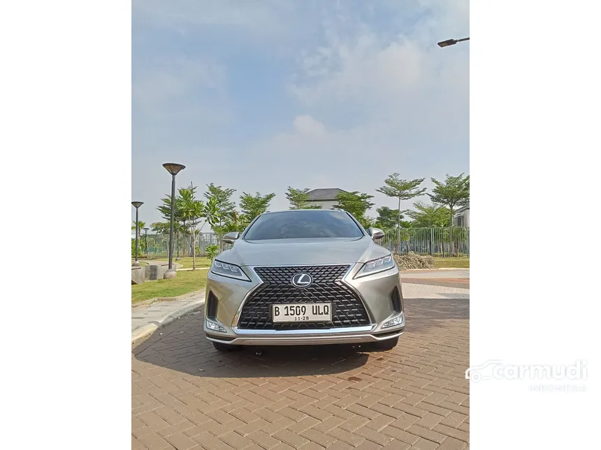 2020 Lexus RX 300 Luxury SUV