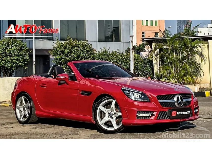 2013 Mercedes-Benz SLK250 AMG Convertible