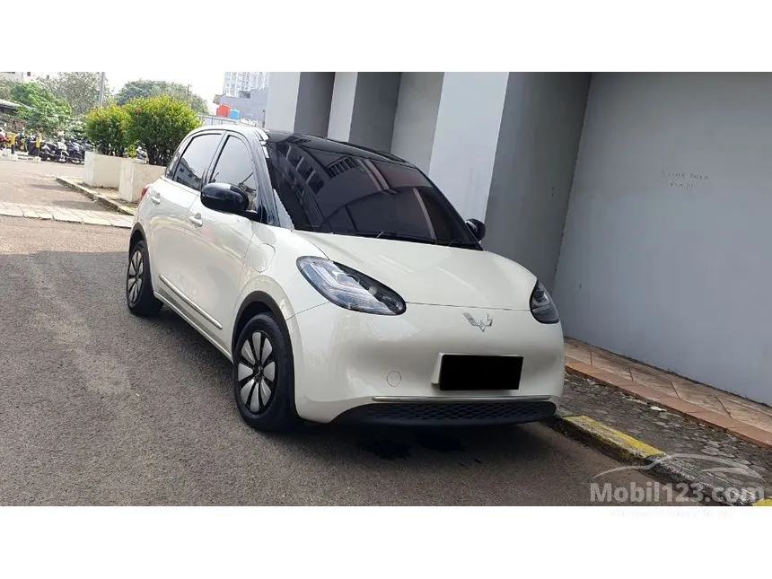 2024 Wuling Binguo EV 410 Premium Range AC/DC Hatchback