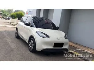 2024 Wuling Binguo EV 410 Premium Range AC/DC Hatchback
