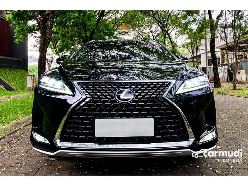 2020 Lexus RX300 Luxury SUV