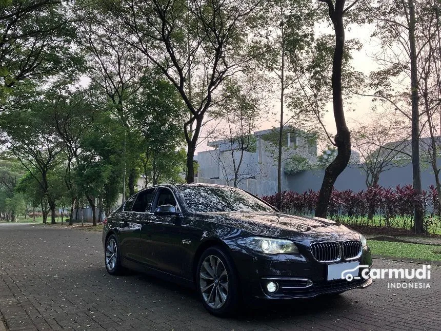 2015 BMW 520i Luxury Sedan