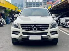 2013 Mercedes-Benz ML250 2.1 CDI SUV
