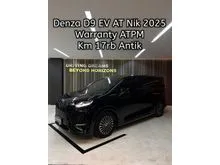2025 Denza D9 0.0 Advanced MPV