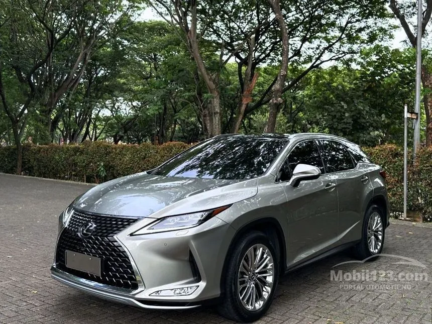 2019 Lexus RX300 Luxury SUV