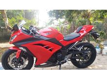 2013 Kawasaki Ninja 250