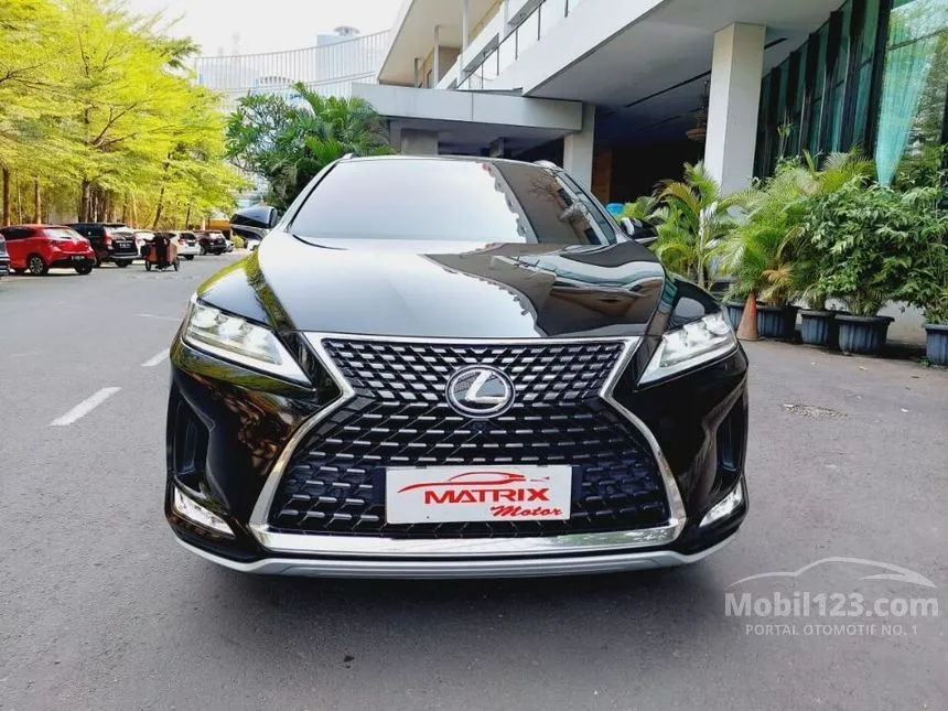 2021 Lexus RX 300 Luxury SUV