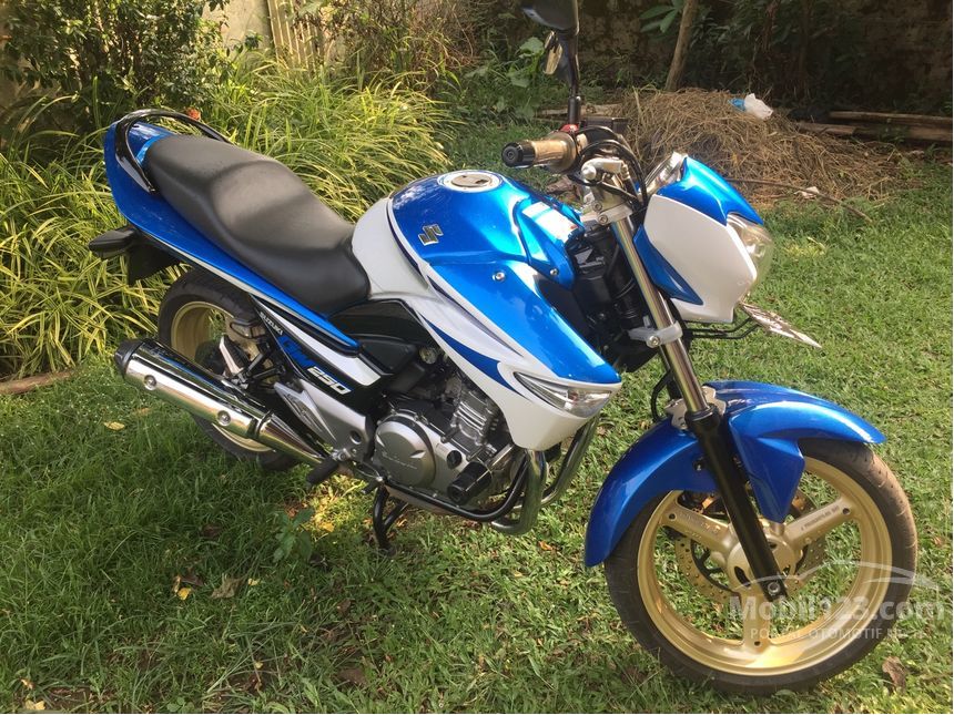 2015 Suzuki Inazuma GW 250 Others