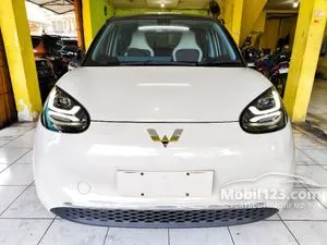 2024 Wuling Binguo EV 410 Premium Range AC/DC Hatchback