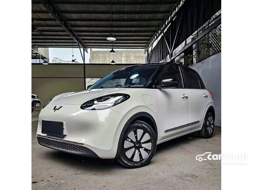 2024 Wuling Binguo EV 333 Long Range AC/DC Hatchback