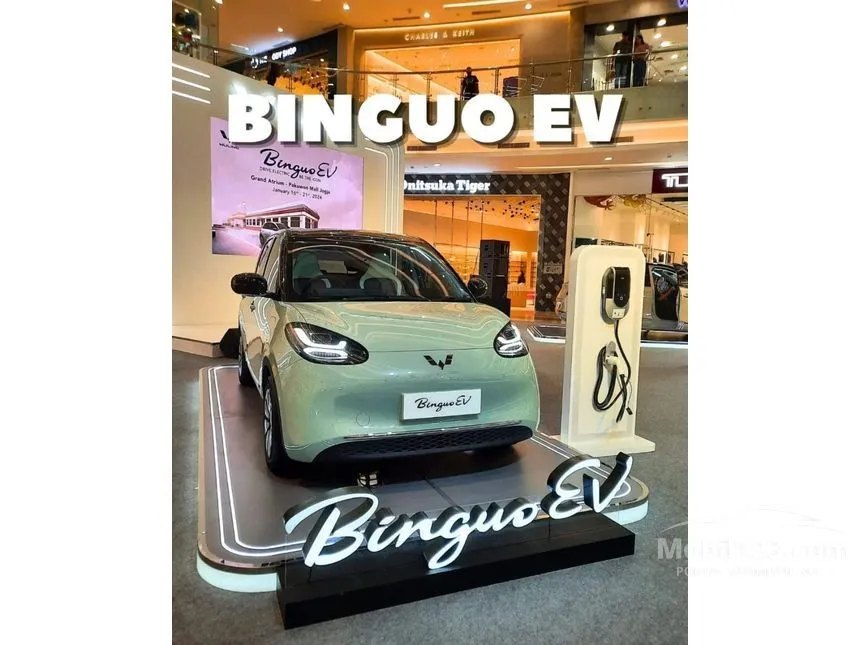 2024 Wuling Binguo EV 333Km Long Range Hatchback