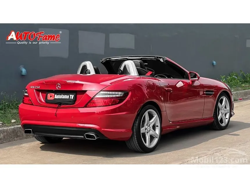 2013 Mercedes-Benz SLK250 AMG Convertible