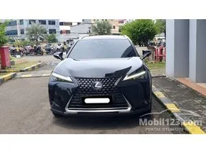 2022 Lexus UX 300e SUV