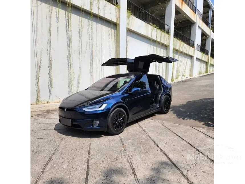 2019 Tesla Model X 75D Wagon