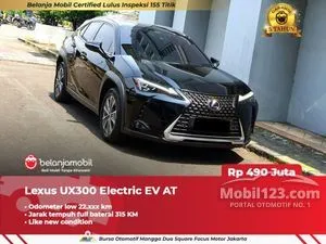 2022 Lexus UX 300e SUV