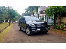 2014 Mercedes-Benz ML250