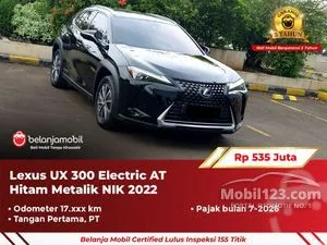 2022 Lexus UX 300e SUV
