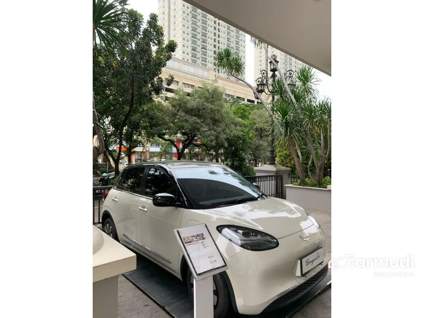 2024 Wuling Binguo EV 333 Long Range AC/DC Hatchback