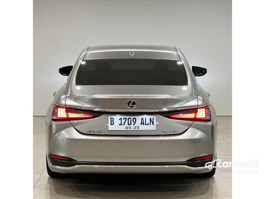 2019 Lexus ES250 Ultra Luxury Sedan